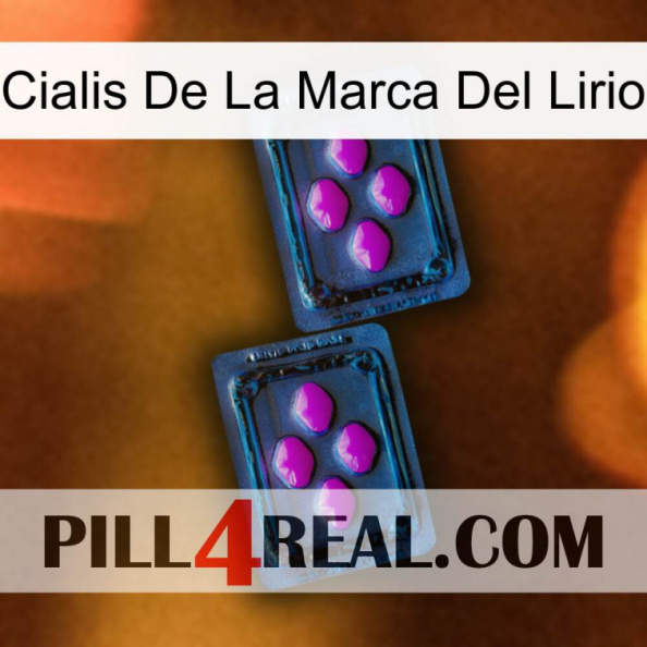 Lily Brand Cialis 03.jpg